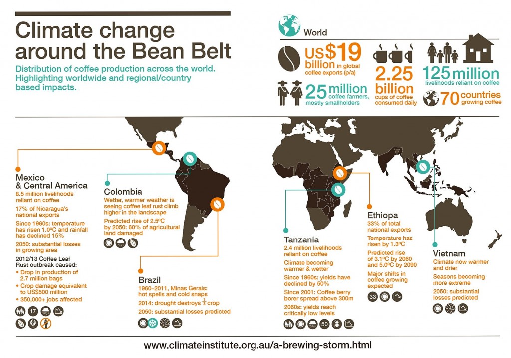 TCI_infographic_Bean_Belt_Map_standalone-01