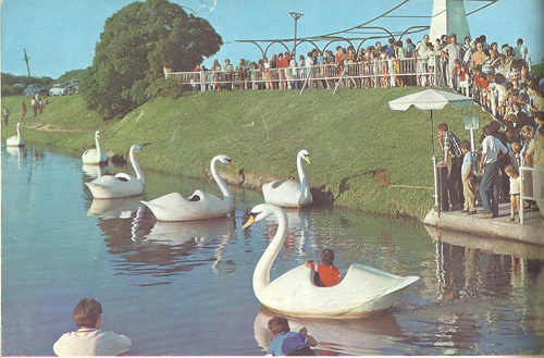 Los cisnes de Parque Camet, un recuerdo imborrable para quienes los disfrutaron desde la década del 60 hasta su desaparición a principios de los 80. La foto nos muestra la larga cola que hyabía que hacer para dar una vuelta por el laguito de Camet.