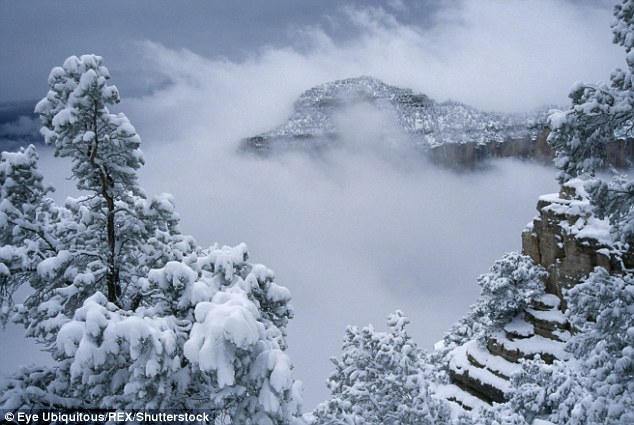 nieve caminata madre