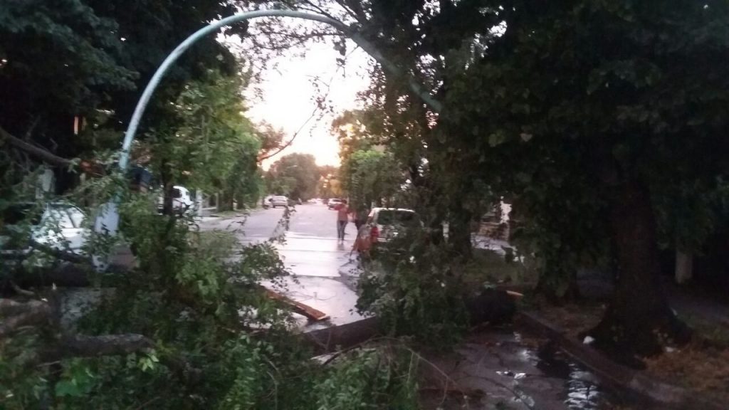 En Olazábal y Santa Cruz cayeron un poste y árbol.