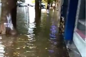 Nota