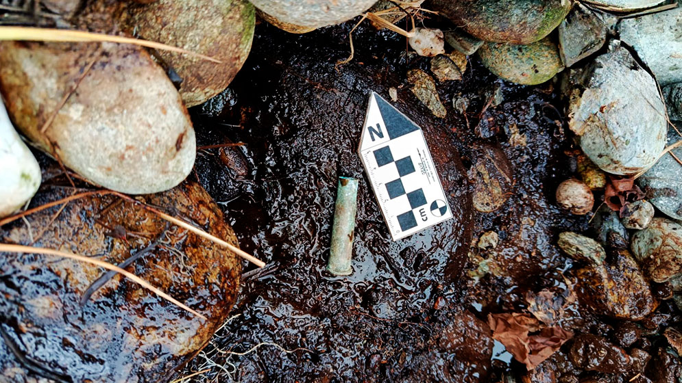  Vaina servida de Remington calibre 43 hallada en San Juan Salvamento. Foto: CONICET.