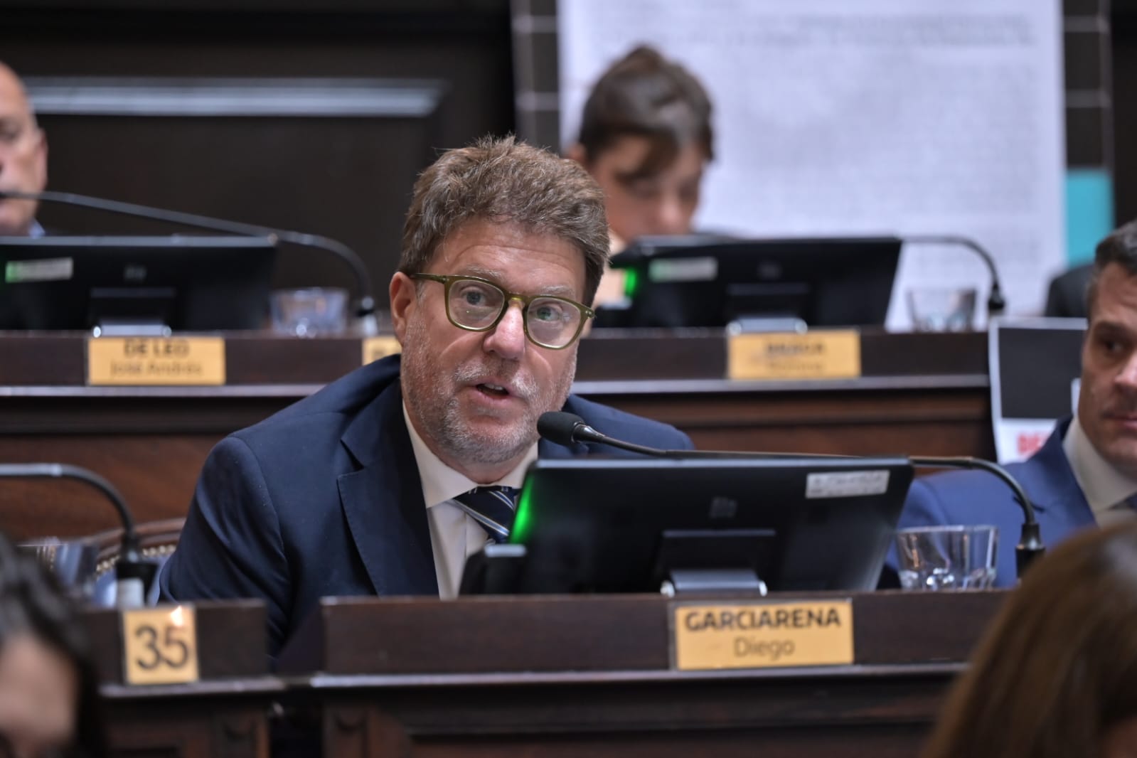 El diputado marplatense Diego Garciarena. 