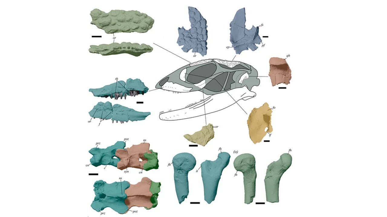 WhatsApp Image 2026-04-22 at 08.49.53