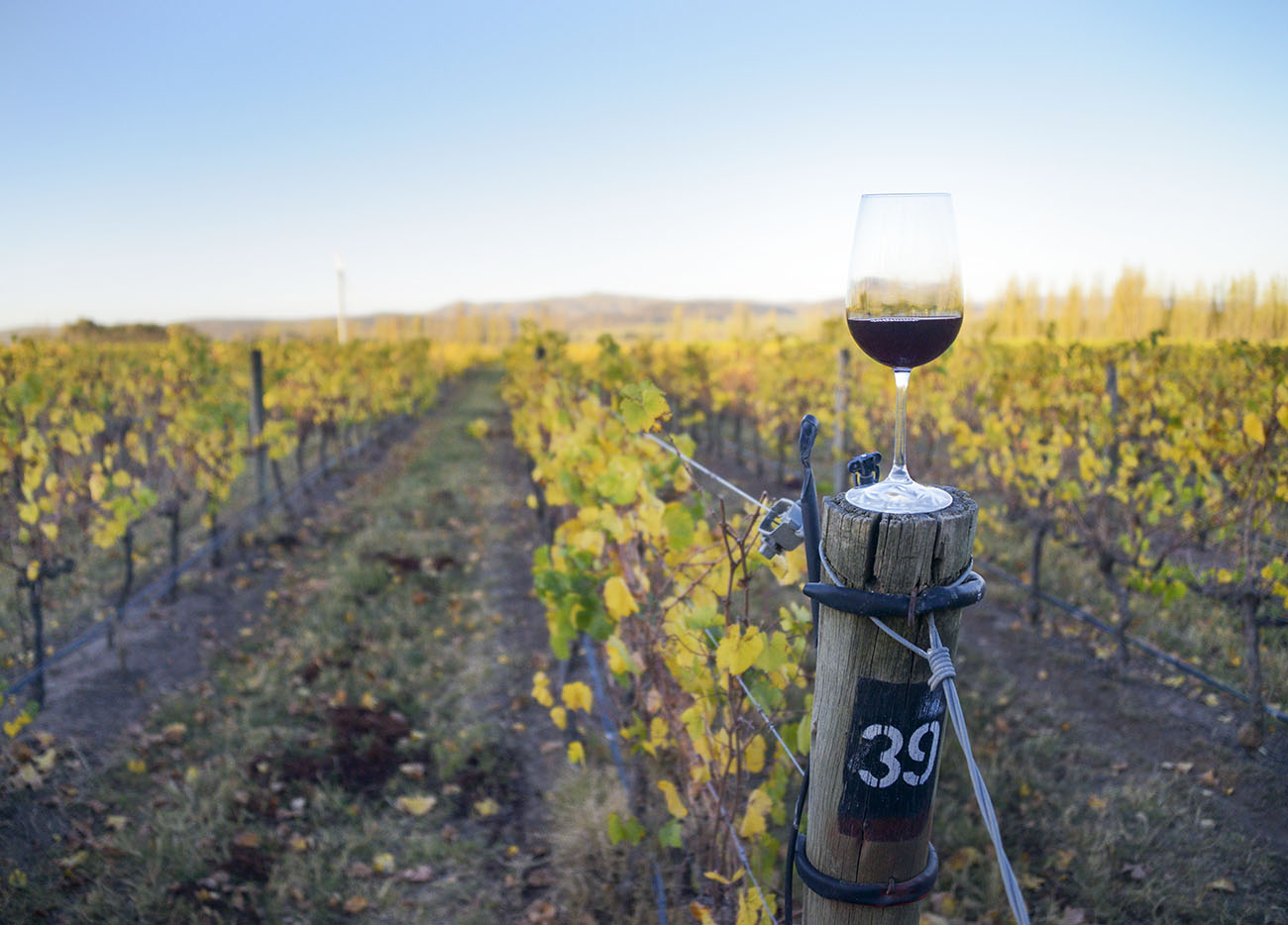 bodega saldungaray (3) - op