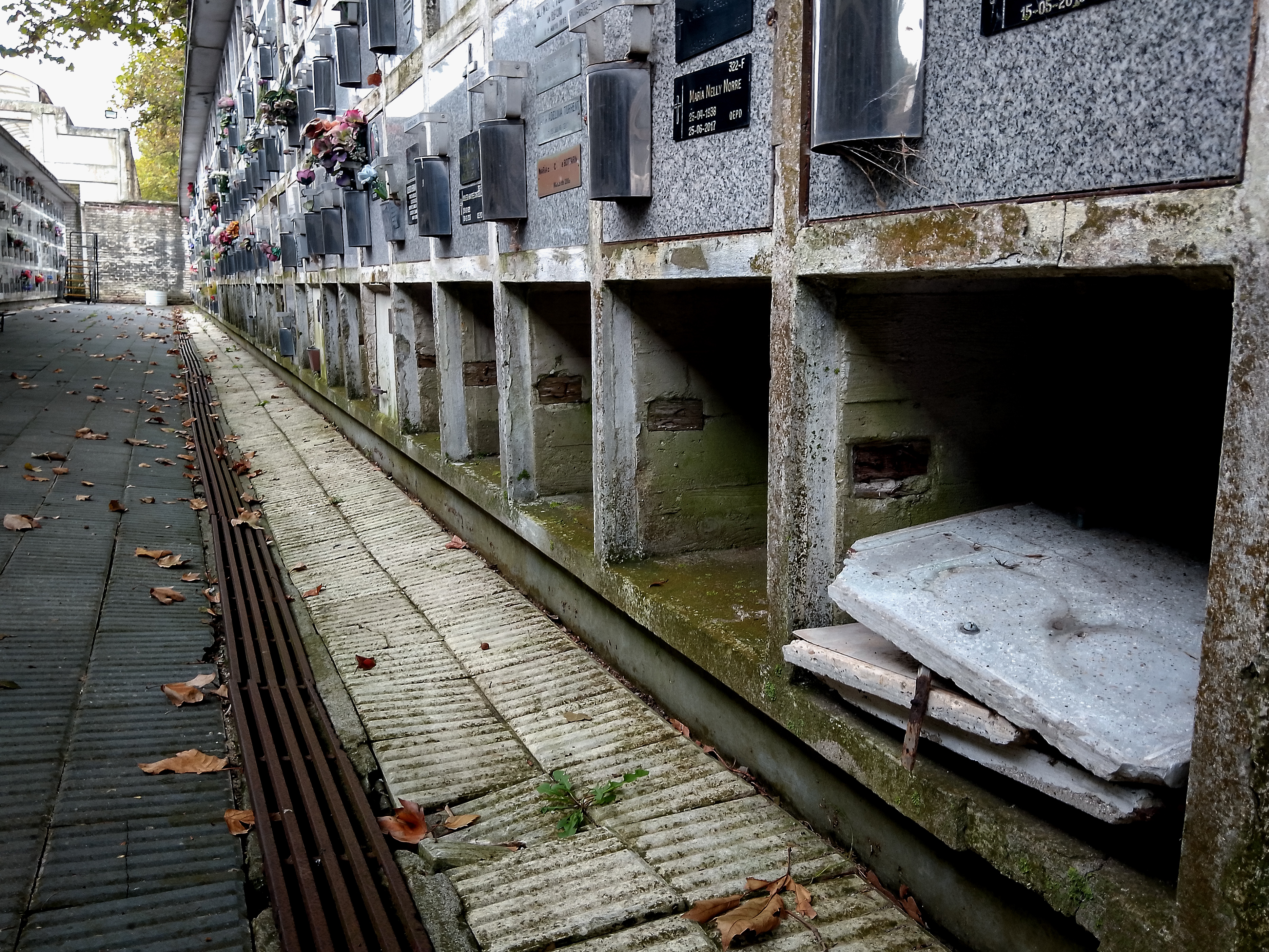 En cementerio de La Loma, ubicado en la zona de Alem, también evidencia falta de mantenimiento.