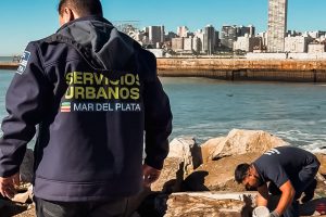 Nota