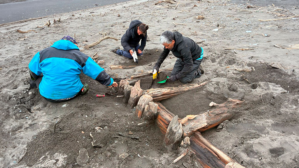  Relevamiento de restos de embarcación en Bahía Franklin, en la Isla de los Estados. Foto: CONICET.