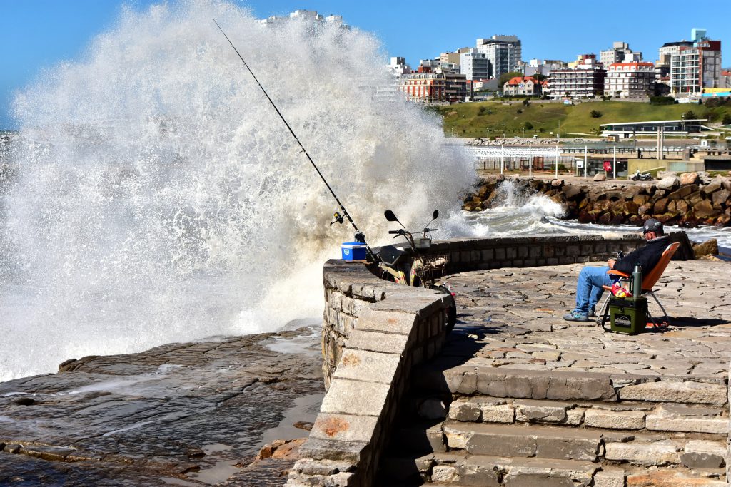 OLAS 1