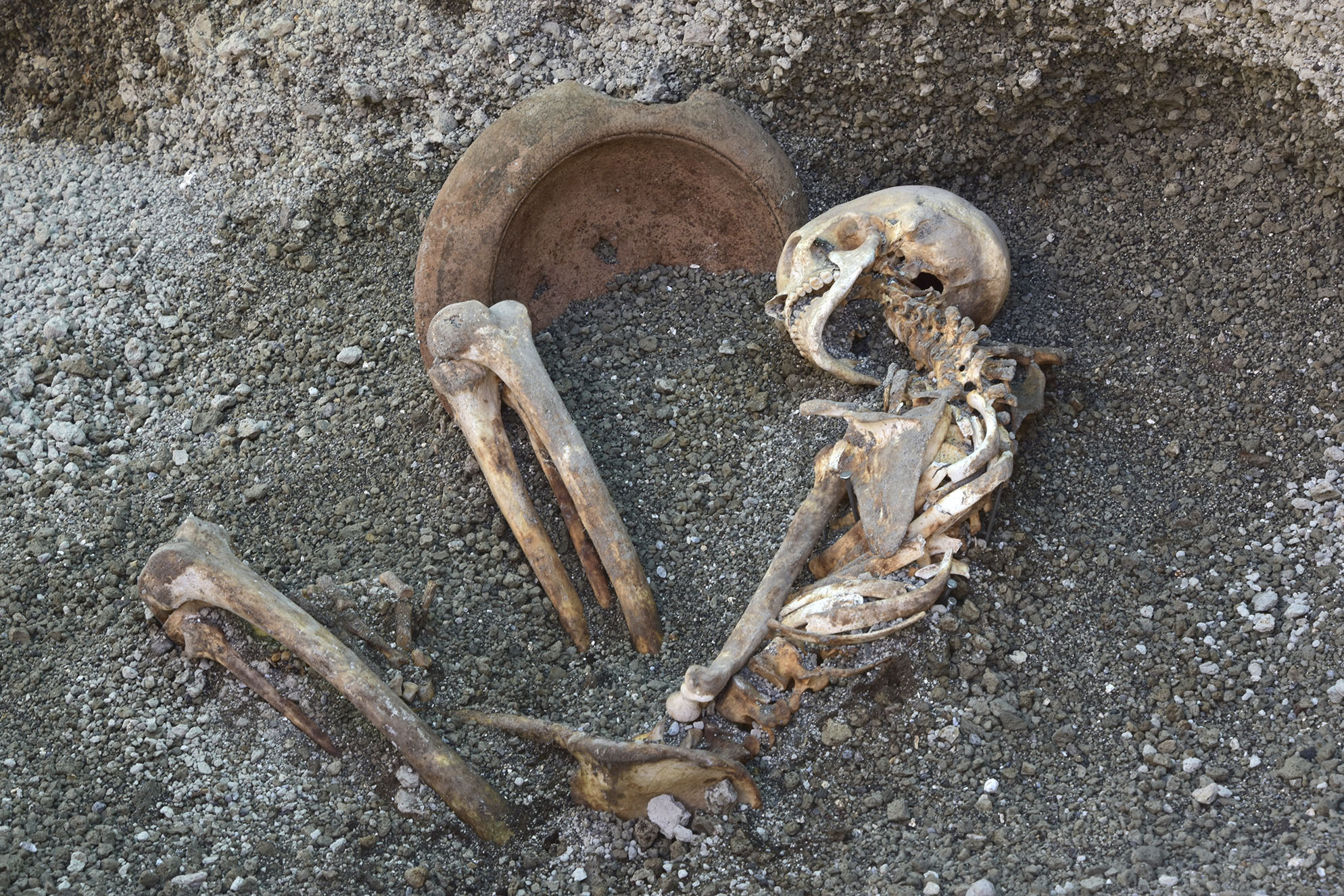 Pompeya reconstruye con inteligencia artificial la huida de una víctima del Vesubio