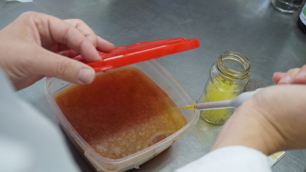 Nota-Bioplasticos1-1024x576