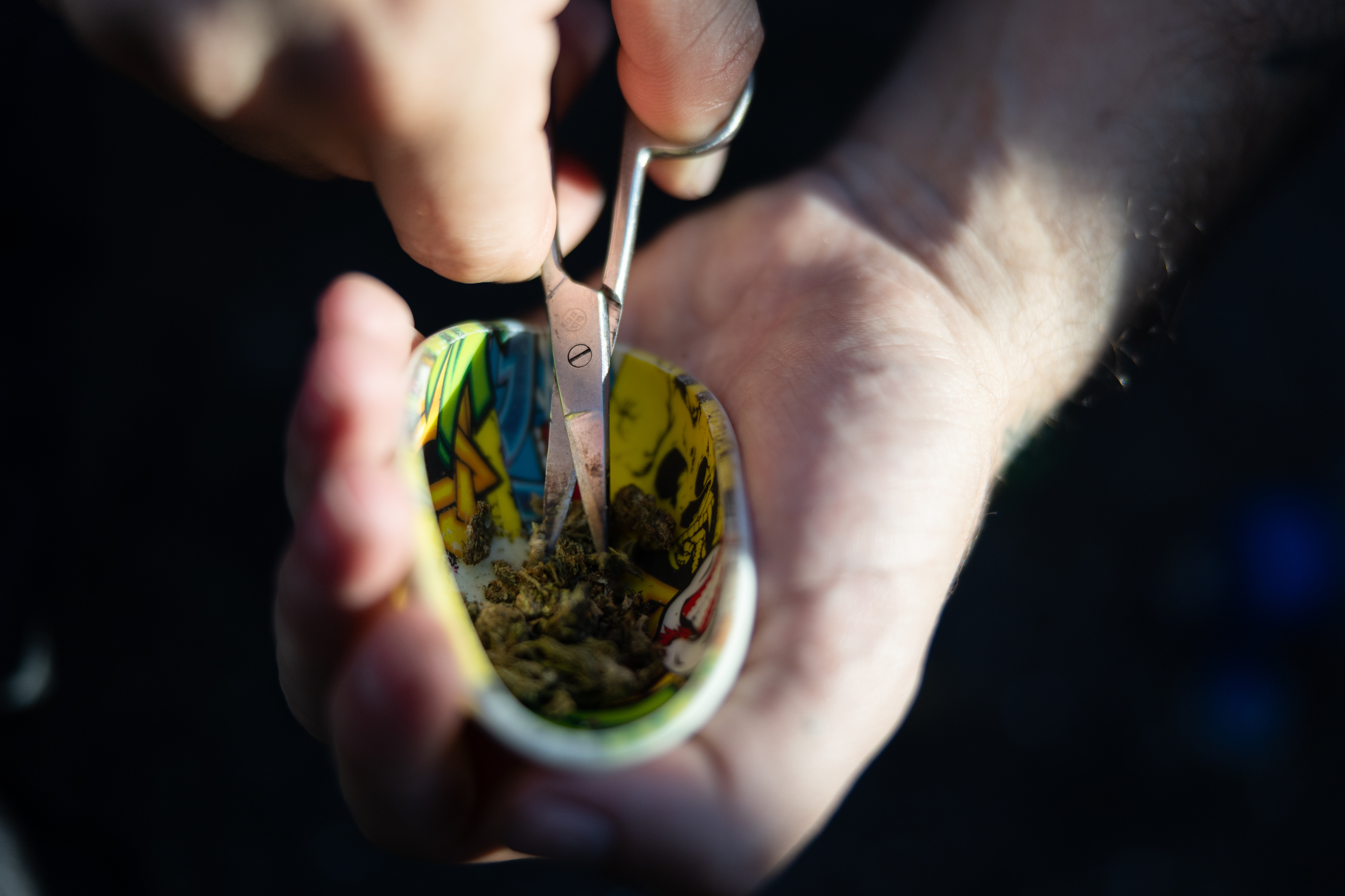 Miles de personas marchan para exigir la legalización de la marihuana en Brasil