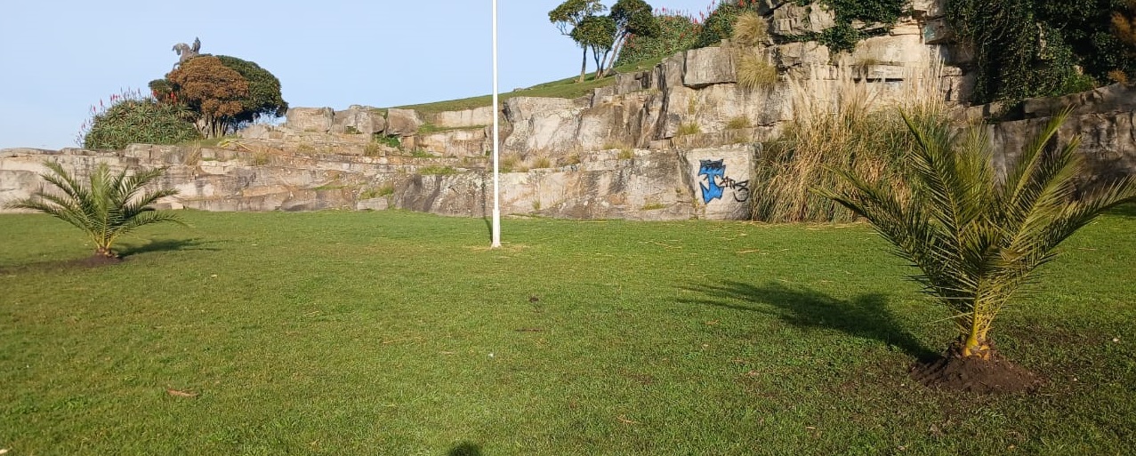 Las nuevas palmeras del Parque San Martín.