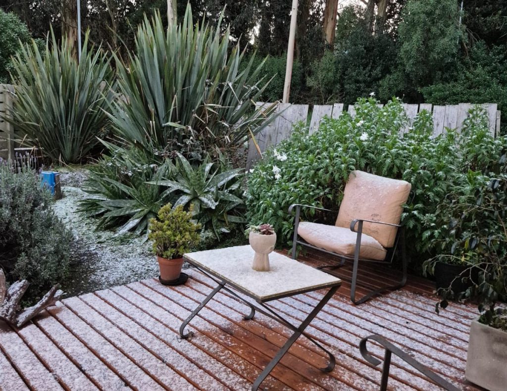 NieveSierra