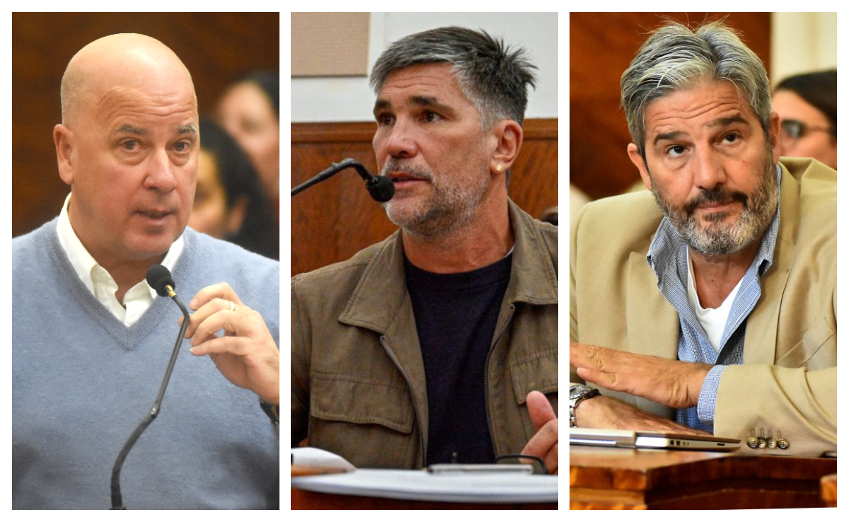 Horacio Taccone, concejal de Acción Marplatense, Diego García, concejal de Unión por la Patria, y Guillermo Volponi, secretario de Producción.