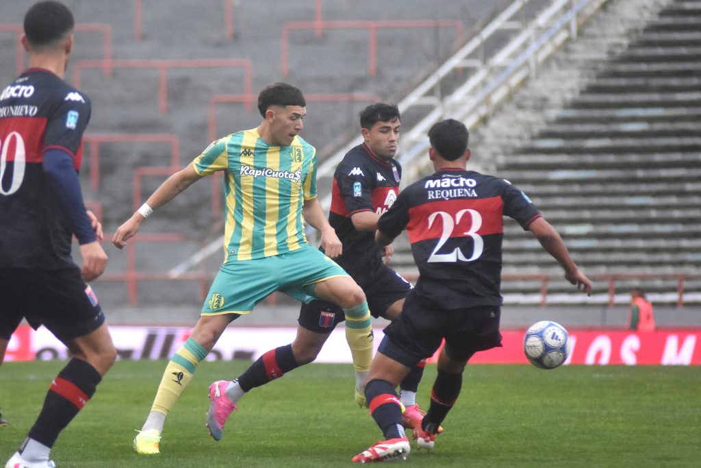 Aldo Tigre 15