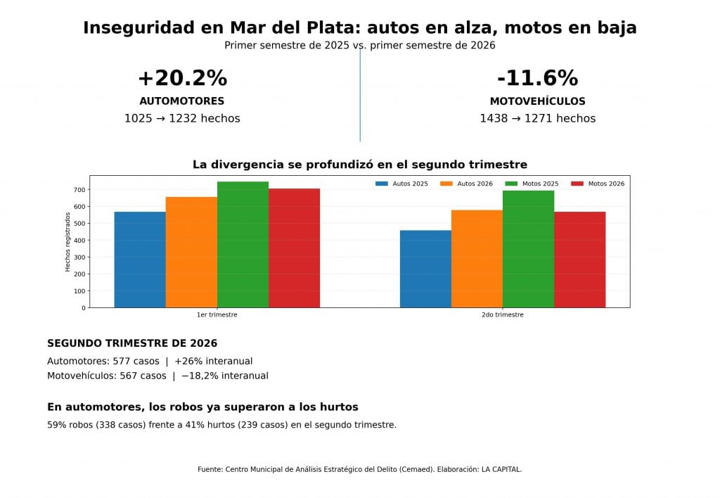 INFOGRAFIA CEMAED