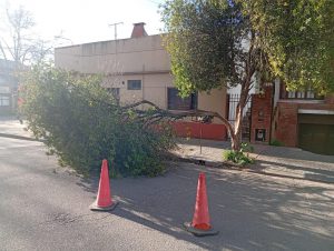 Vientos 2