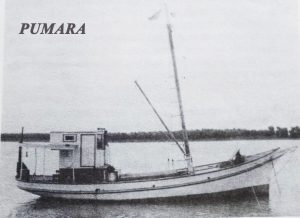 pumara