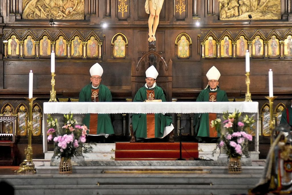 Cardenal6