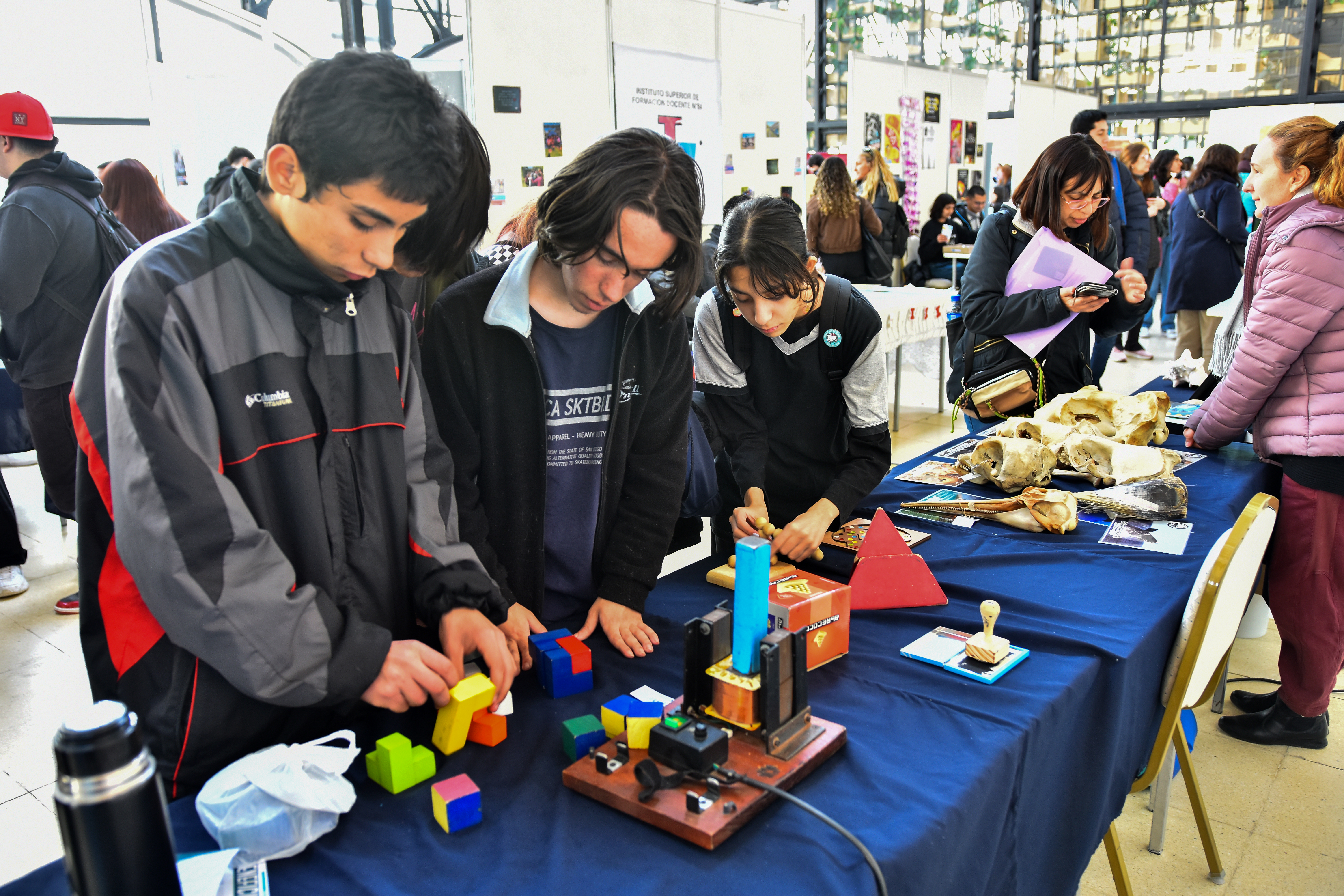 Educativa 15