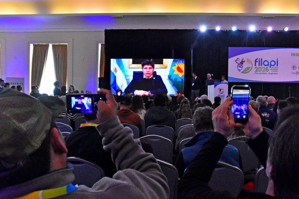 FILAPI CIERRE 09