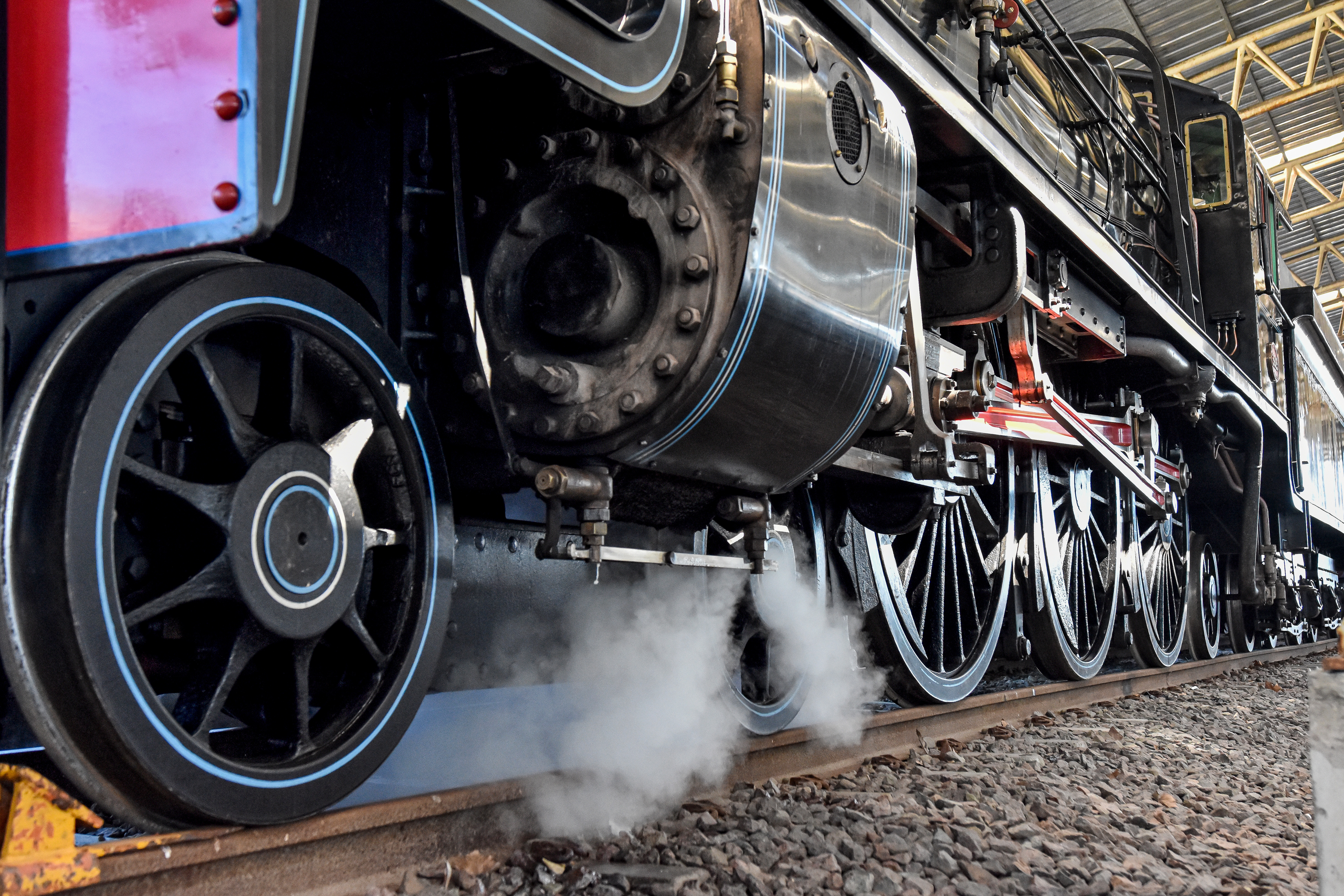 LOCOMOTORA 09