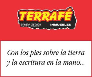 Mesa de trabajo 1_1martilleros