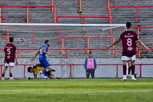 TORO-DEF BEL 26
