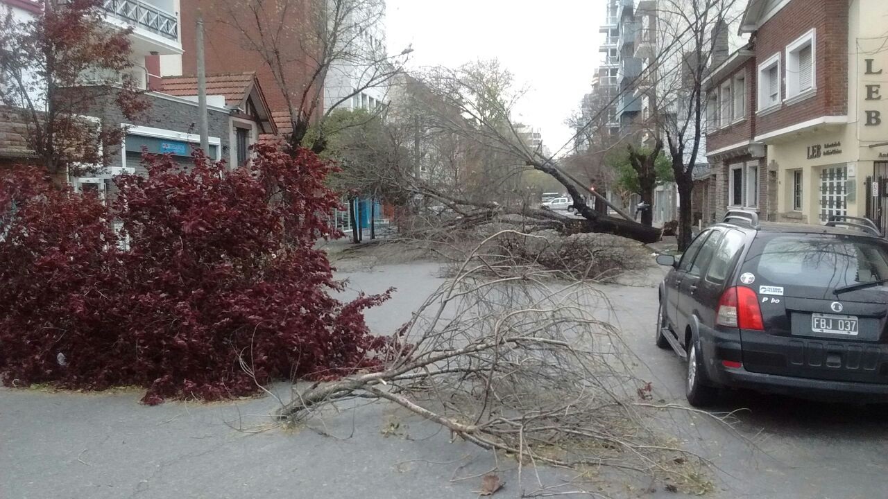 La calle Falucho, entre Yrigoyen y La Rioja.