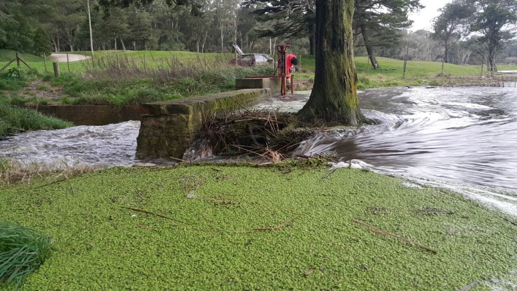 Las Fotos Que Mejor Muestran El Desborde De La Laguna De Los Padres Diario La Capital De Mar Del Plata Download musik online, download mp3 mudah dan cepat. desborde de la laguna de los padres