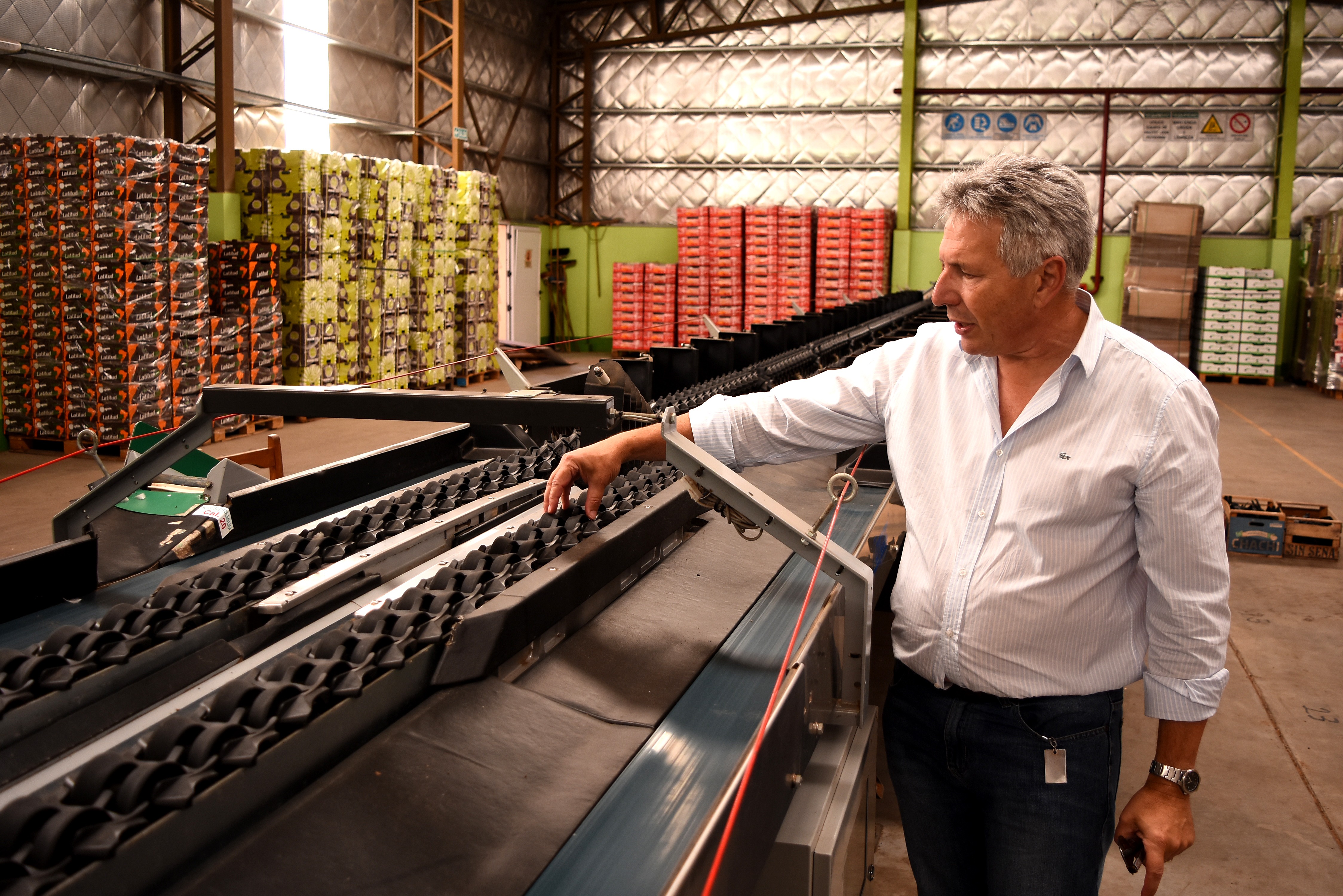 El crecimiento de la producción de kiwi tiene un impacto en la generación de puestos de trabajo. 