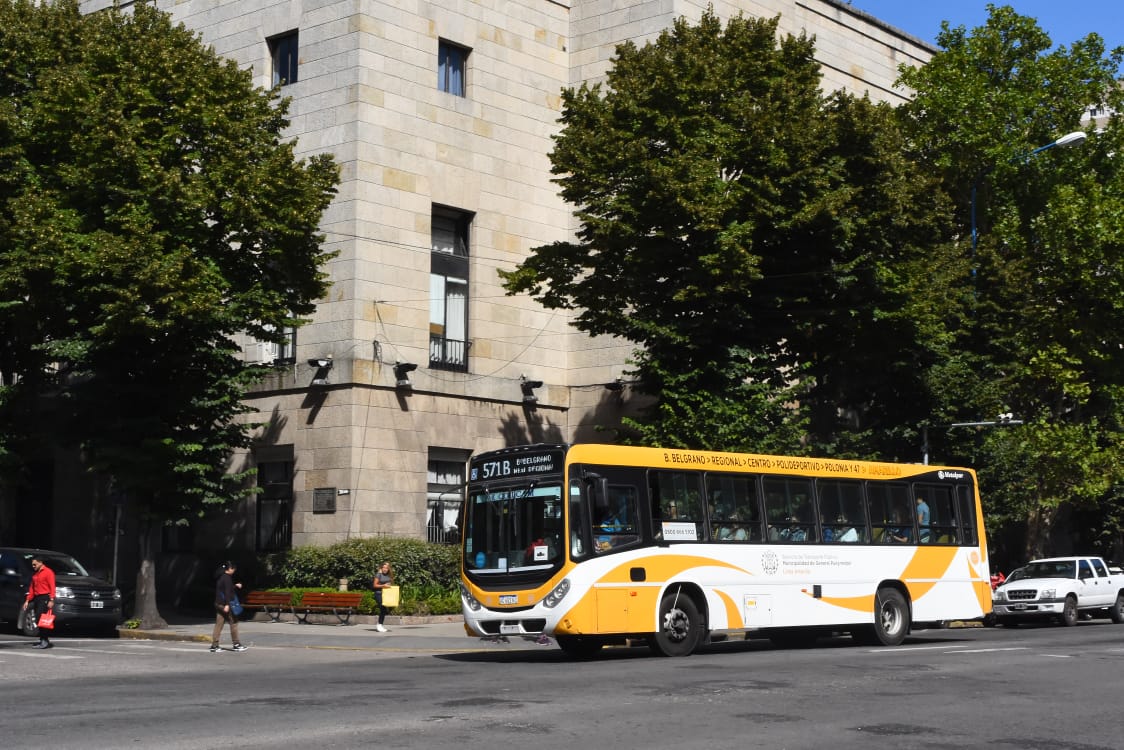 bondi muni colectivo