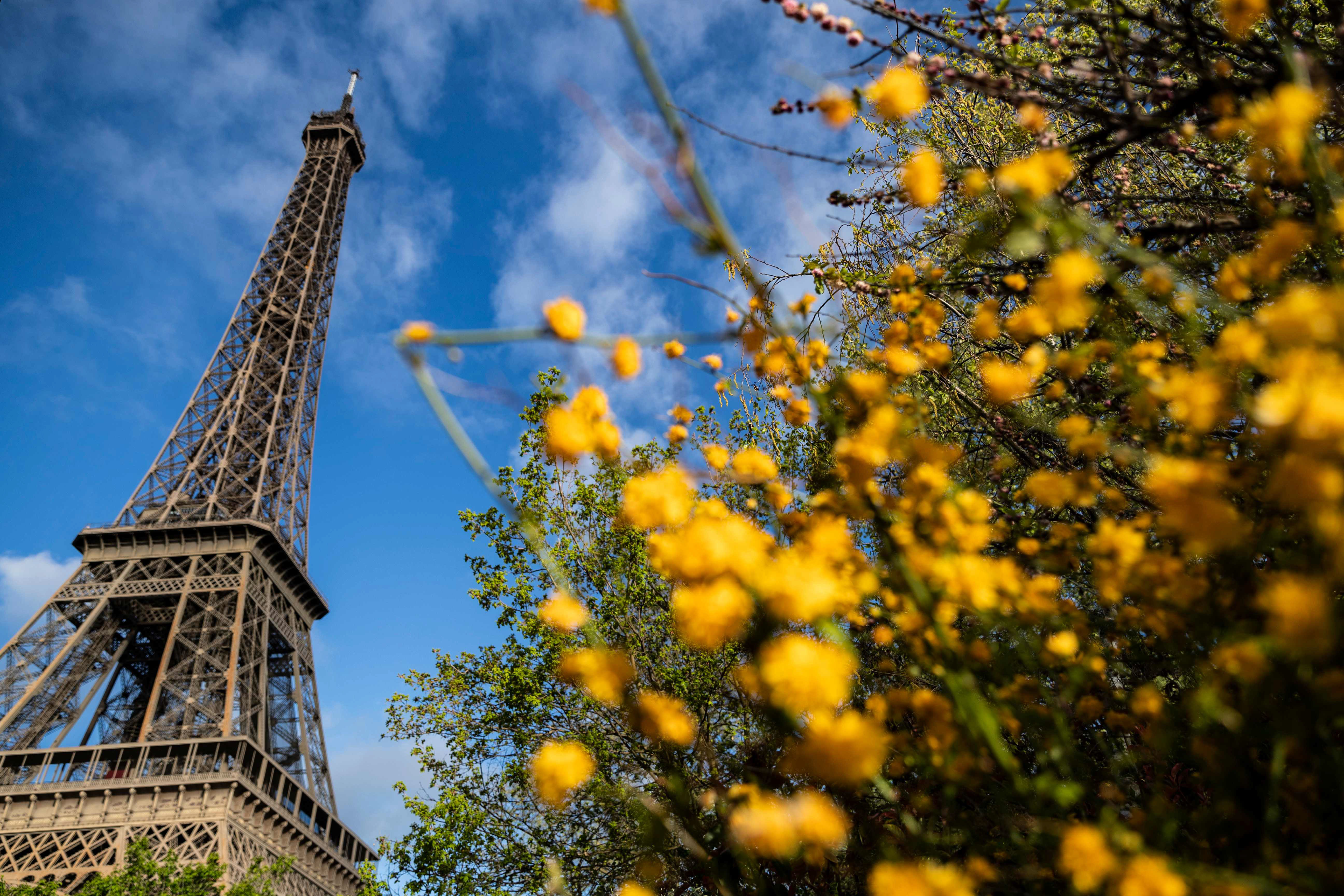 Foto: Kenzo Tribouillard / AFP