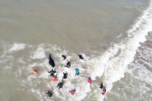 Rescate orcas drone