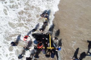 Rescate orcas drone14