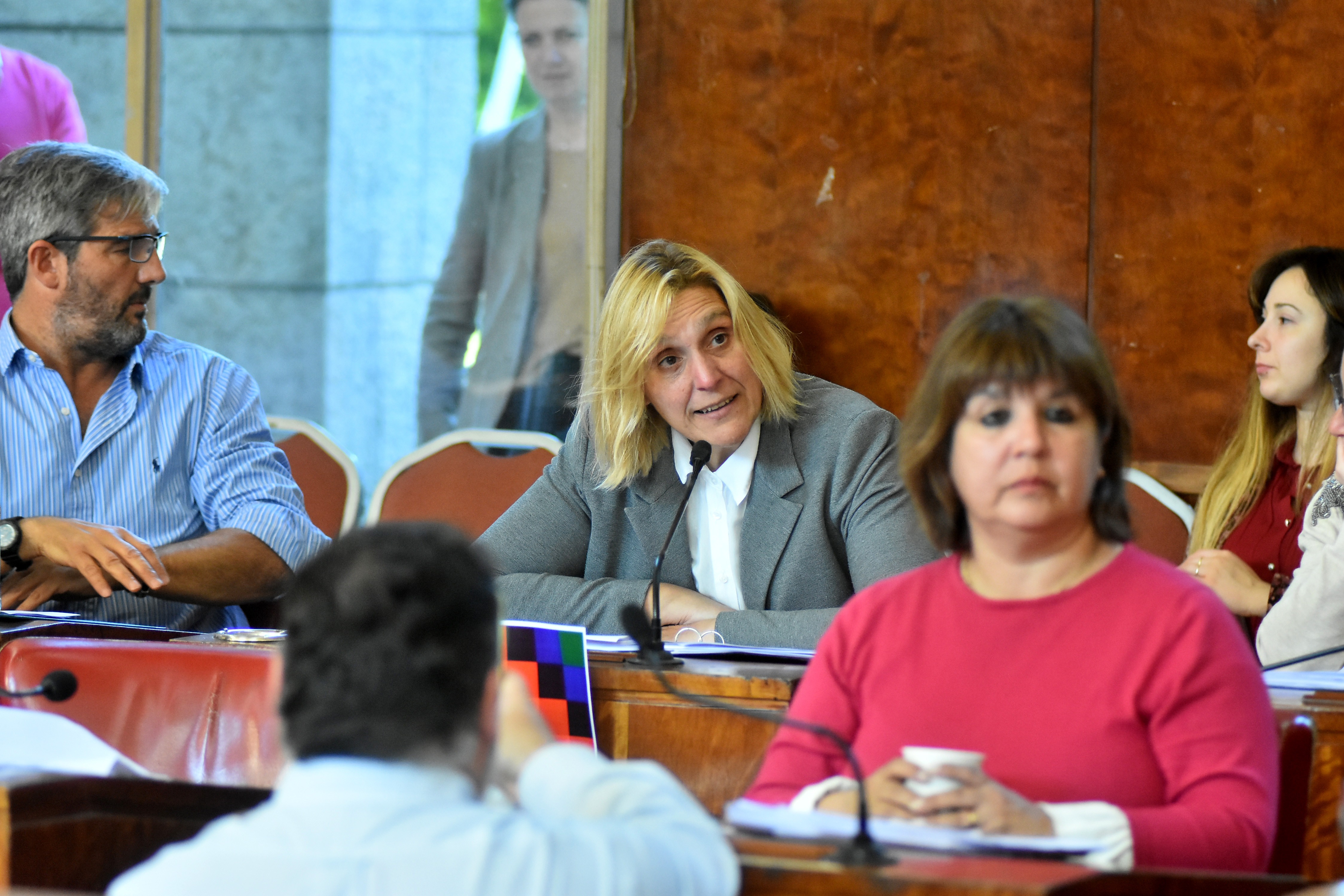 Vilma Baragiola (al fondo) también expuso sobre la necesidad de cumplir la emergencia alimentaria. 