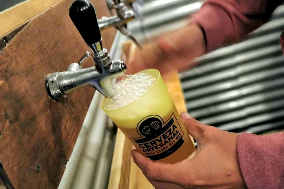 cerveza santa clara