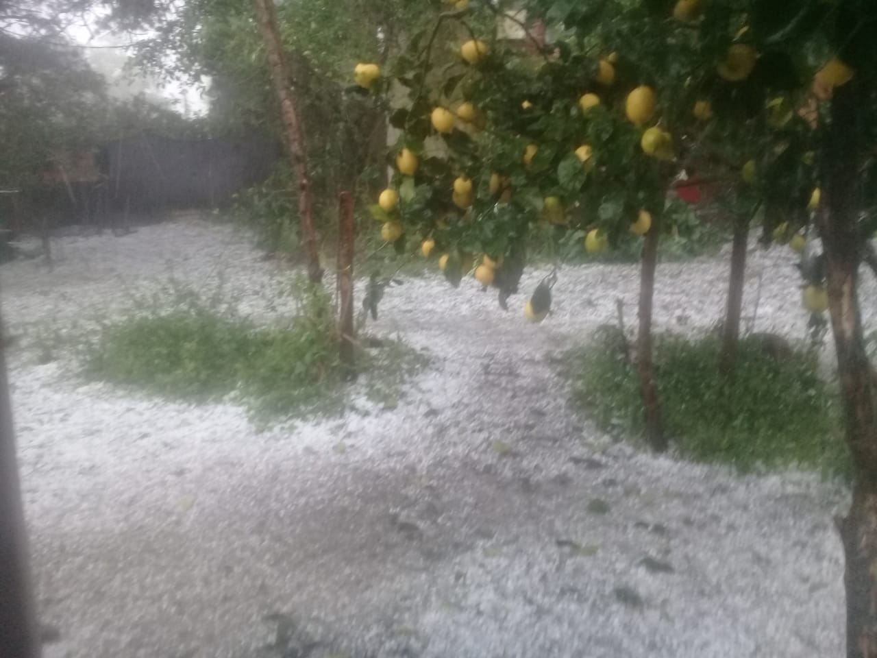 Granizo Sierra de los padres