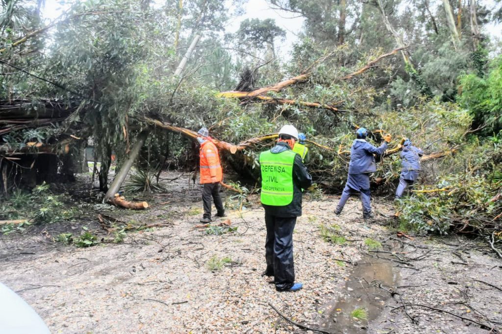 Dos autoevacuaciones por los daños causados por el temporal « Diario La  Capital de Mar del Plata