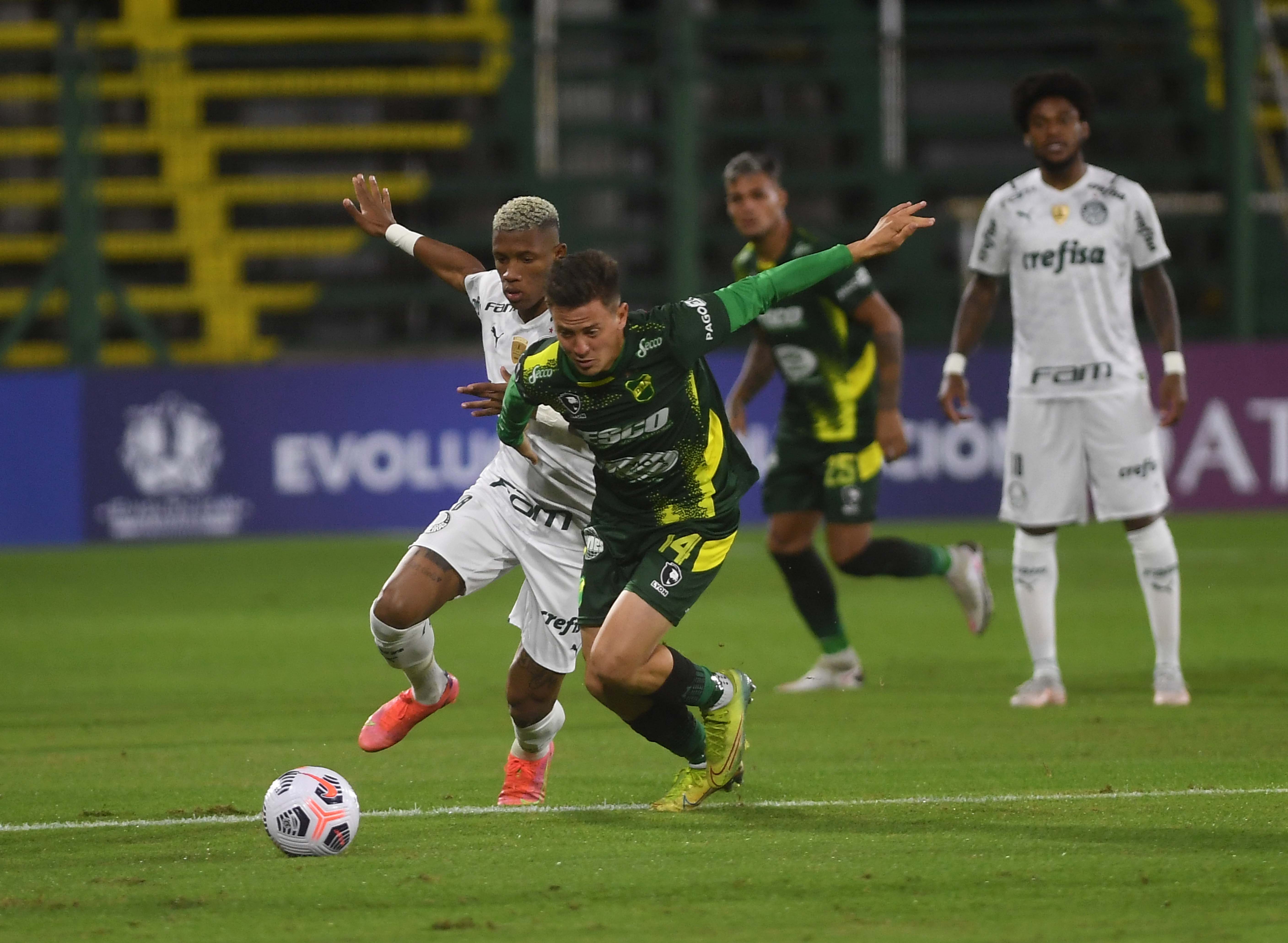 defensapalmeiras