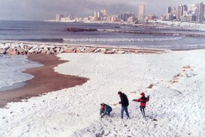 nevada 1991