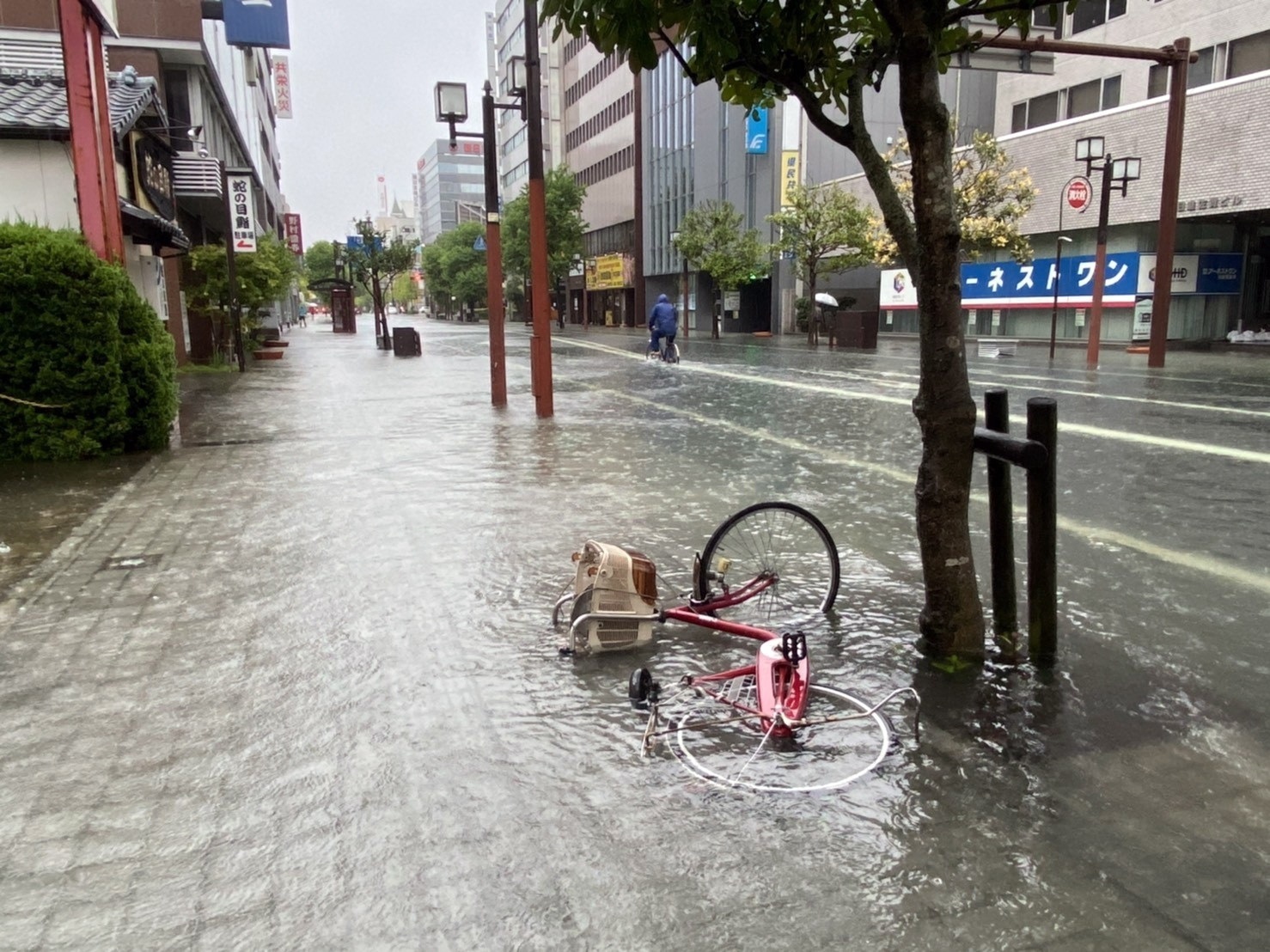 Heavy rain fall hits Japan