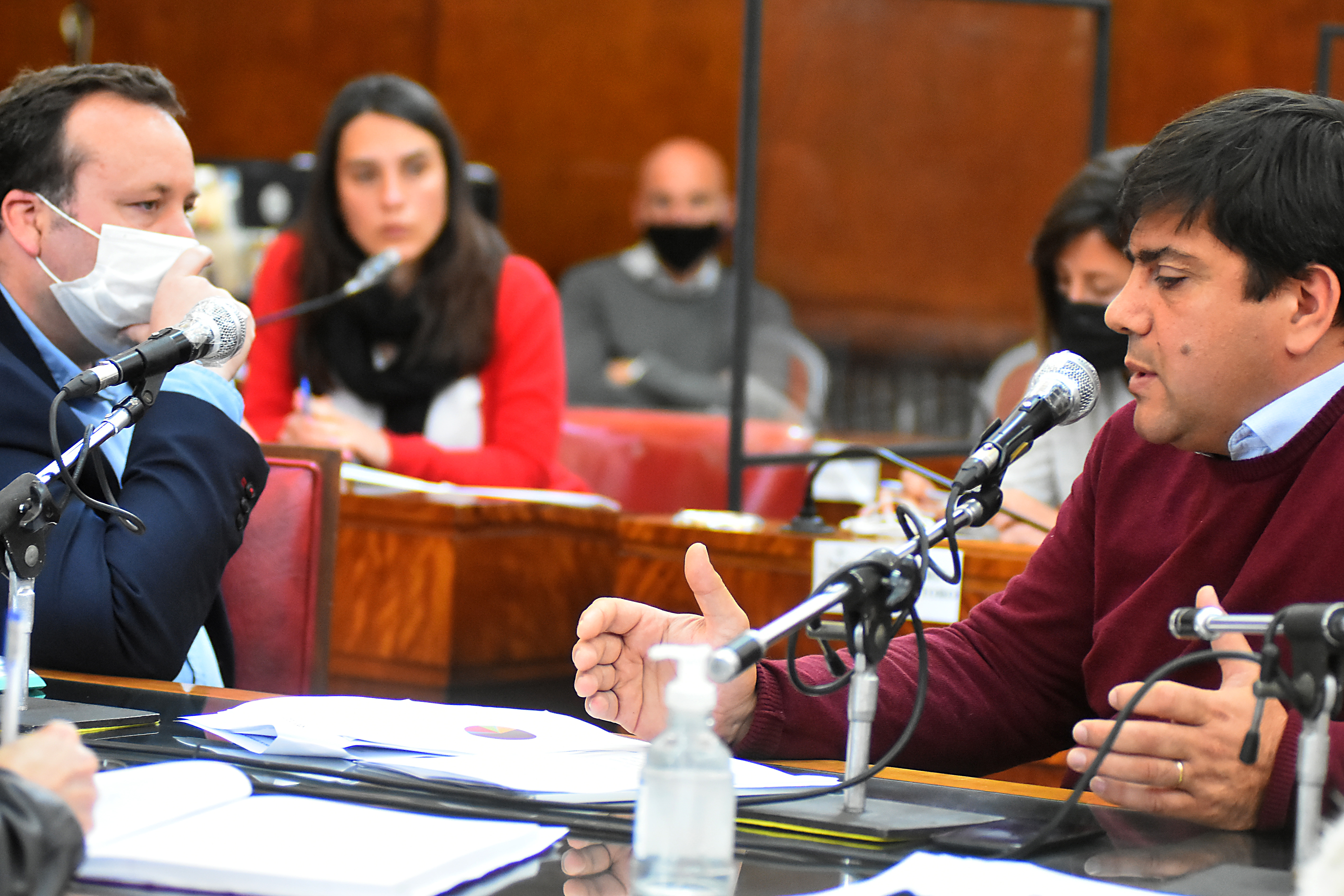 El presidente del Emsur, Sebastián D'Andrea, expuso el jueves en la comisión de Ambiente del Concejo. 