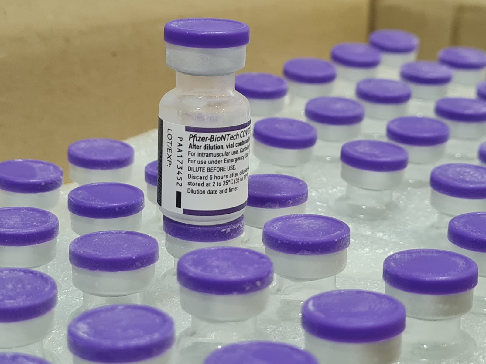 vacu pfizer mdp 1