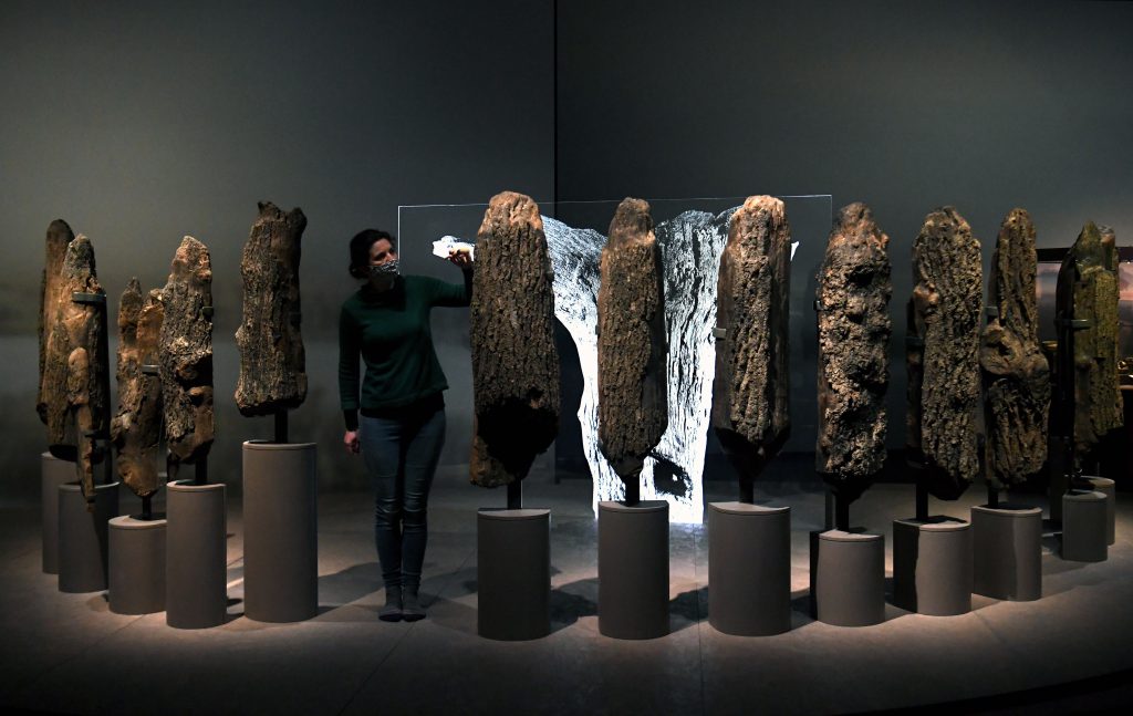 The World of Stonehenge at the British Museum