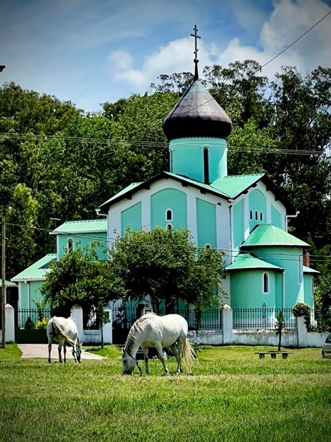 Iglesia Ortodoxa Rusa "Los Santos Mártires Reales", ubicada en las calles Los Mapuches y Borthaburu, junto al bosque Peralta Ramos. Uno de los tantos símbolos de la confluencia de culturas en Mar del Plata.