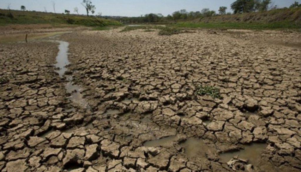 Estiman una brusca caída de la producción de trigo por las heladas y la ...