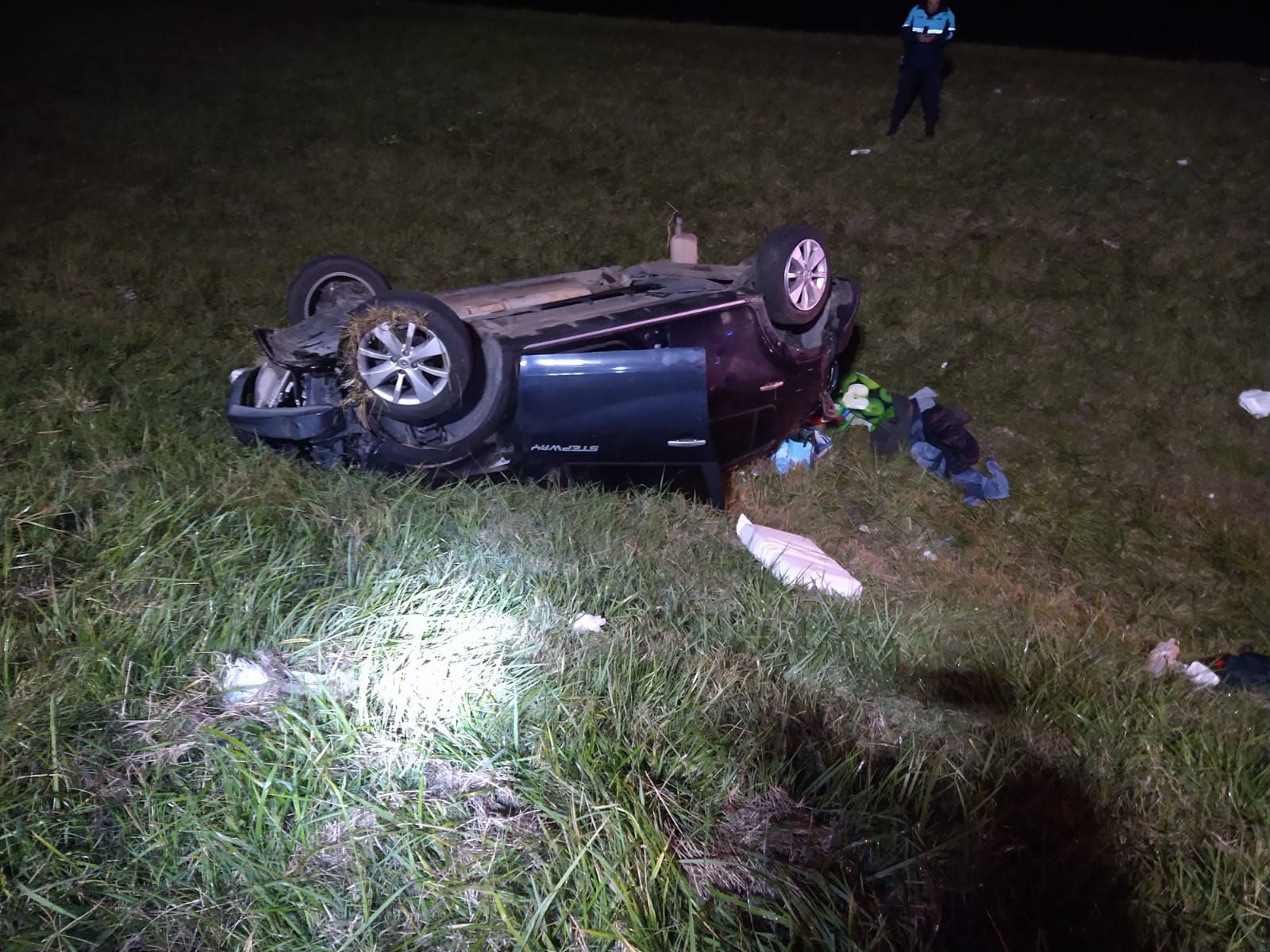 Falleció un hombre al volcar su auto tras querer esquivar un perro en la  Autovía « Diario La Capital de Mar del Plata