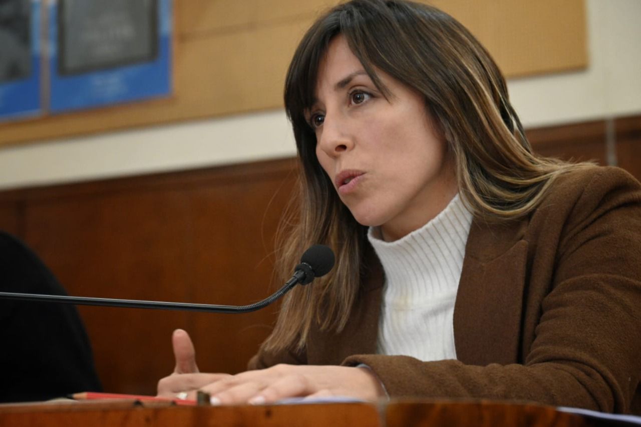 La concejala Virginia Sívori (Frente de Todos), dijo que hay que pasar "del diagnóstico a la acción". 